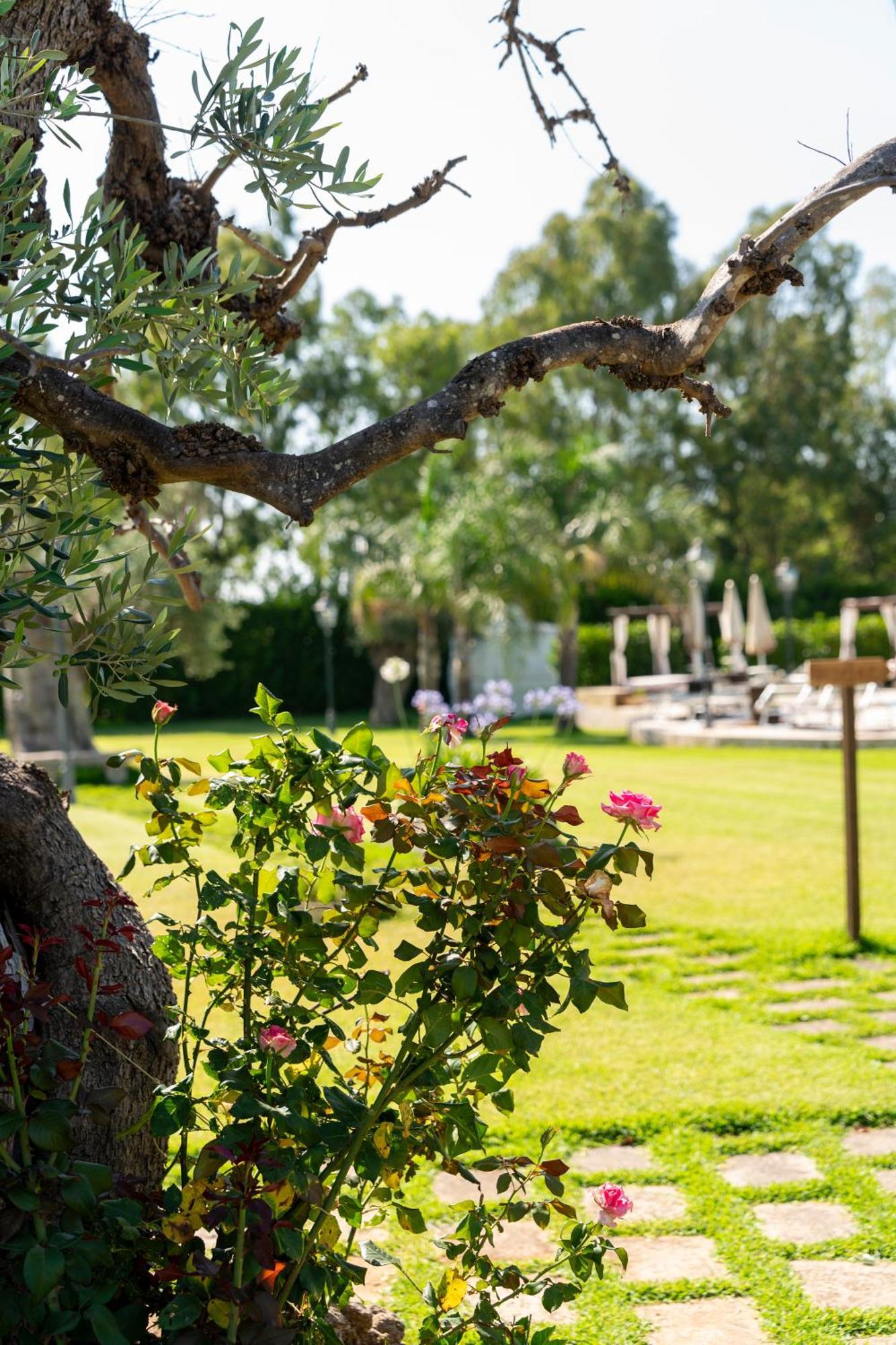 Masseria Giamarra Carpignano Salentino Zewnętrze zdjęcie