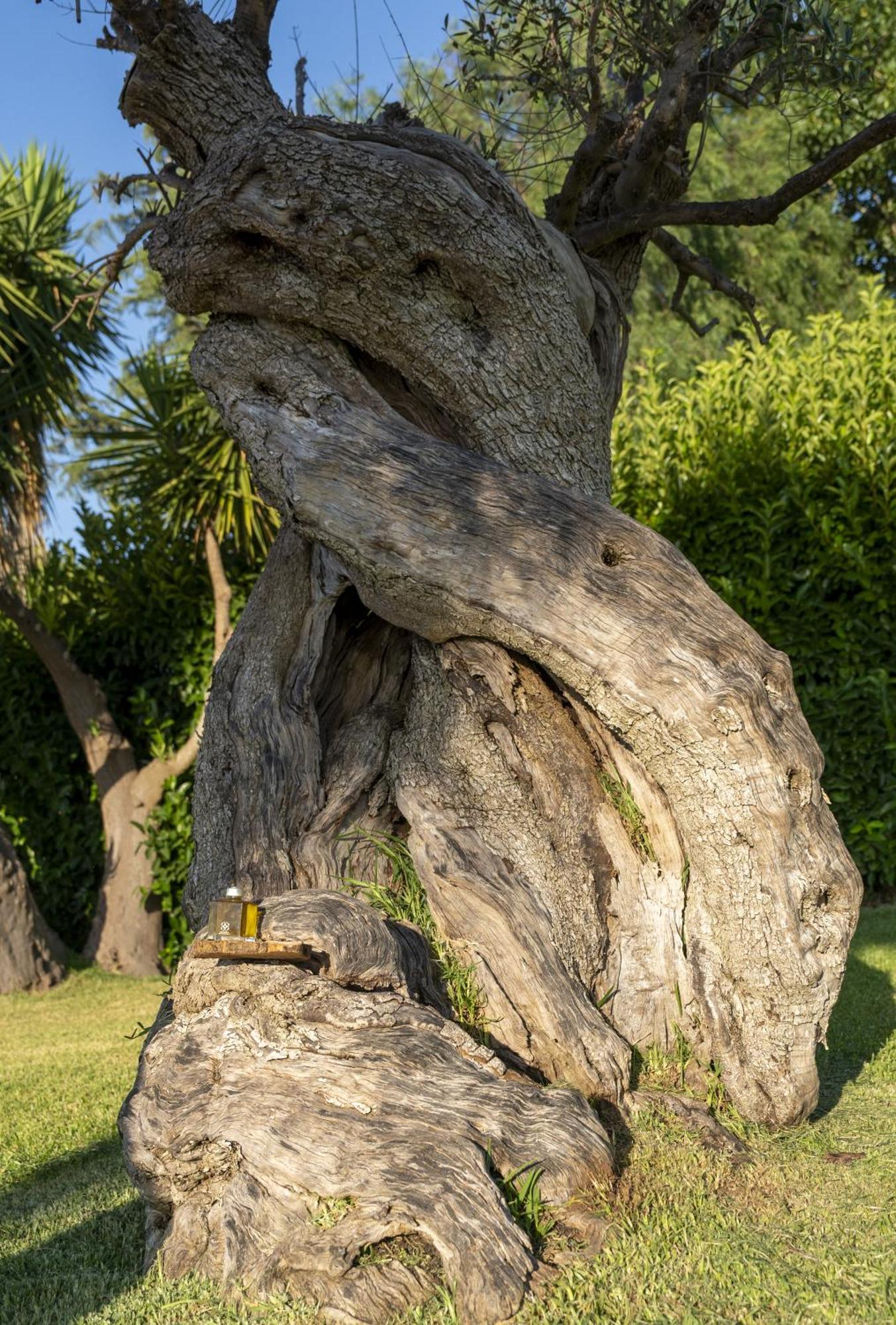 Masseria Giamarra Carpignano Salentino Zewnętrze zdjęcie